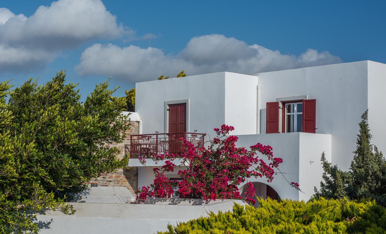 Naxos Palace Hotel Stelida  Exterior foto